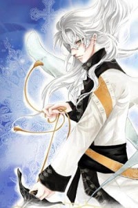 神鵰遊俠(神鵰風流)